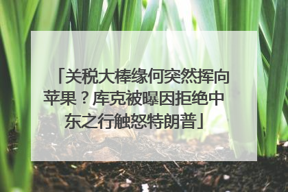 关税大棒缘何突然挥向苹果？库克被曝因拒绝中东之行触怒特朗普